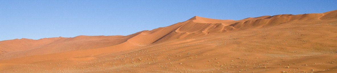3-Day Sossusvlei Namibian Safari Tour (Camping)