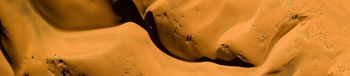 6-Day Etosha, Swakopmund & Sossusvlei (Camping)