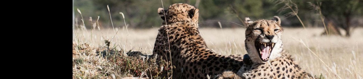 7-Day Breathtaking Namibia Fly-in Safari