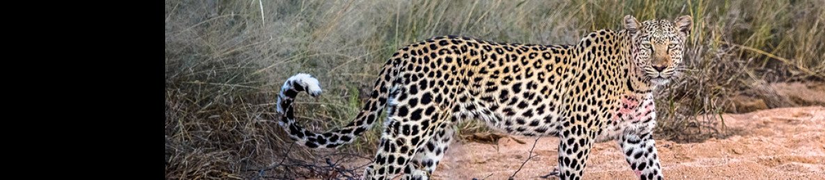6-Day Namibian Favorites Fly-in Safari