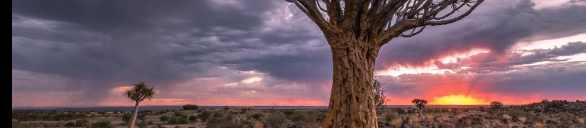 ½-Day Wildlife Safari from Windhoek