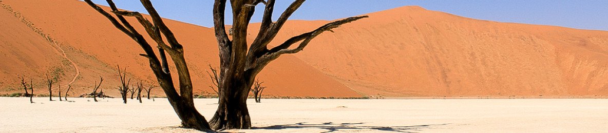 6-Day Cape Town, Aquila Safari & Sossusvlei Tour
