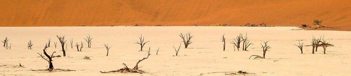 5-Day Namibia Safari- Etosha, Himba & Sossusvlei -Guided