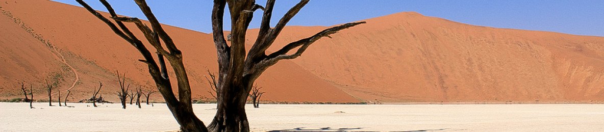 4-Day Desert Dash Tour- Sossusvlei & Coast (Guided Tour)