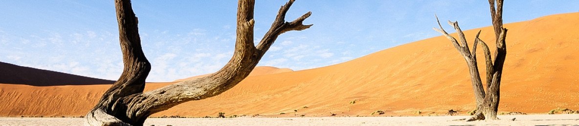 5-Day Mid-Range Scenic Tour of Namibia