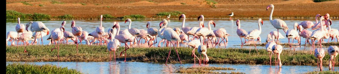 7-Day Swakopmund, Cape Cross, Damaraland Tour (Lodging)