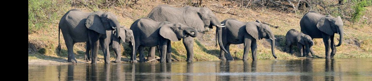 16-Day Namibia to Victoria Falls Explorer Safari