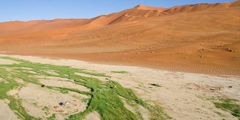 Budget camping Sossusvlei (Sand Dunes) – Day 1: Lunch & Dinner Included – Day 2: All Meals Included