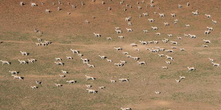10-Day Southern Escape Namibian Safari