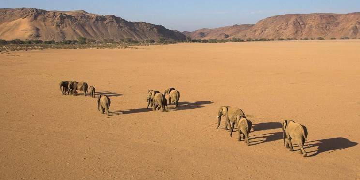 12-Day Namibia - Dunes, Coast & Safari Adventure