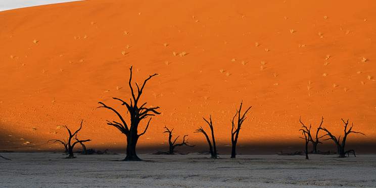 8-Day Mid-Range Safari & Scenic Tour of Namibia