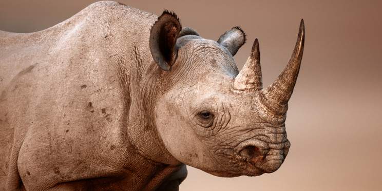 12-Day Namibia Classic Safari
