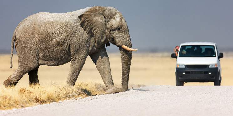 5-Day Etosha Explorer Self-Drive Safari