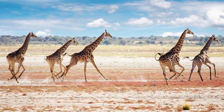 10-Day Whirlwind Wanderlust Namibia Self Drive
