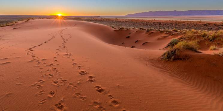 7-Day Namibia in a Nutshell Guided Safari