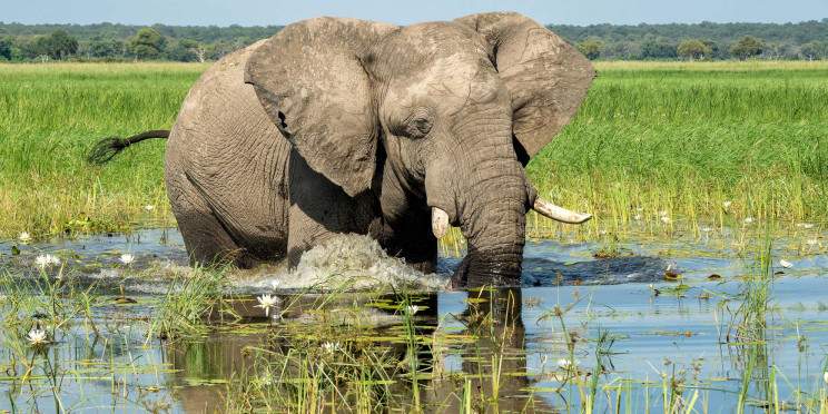 21-Day Comprehensive Namibia Safari Tour