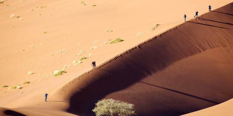 11-Day Highlights of Namibia