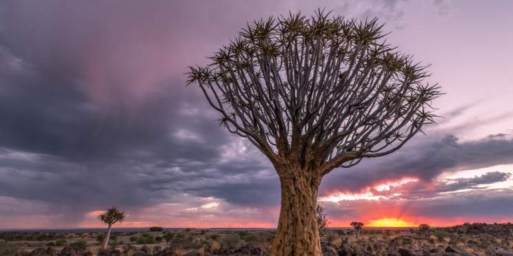½-Day Wildlife Safari from Windhoek