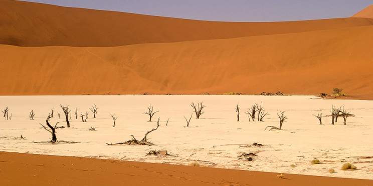 5-Day Namibia Safari- Etosha, Himba & Sossusvlei -Guided