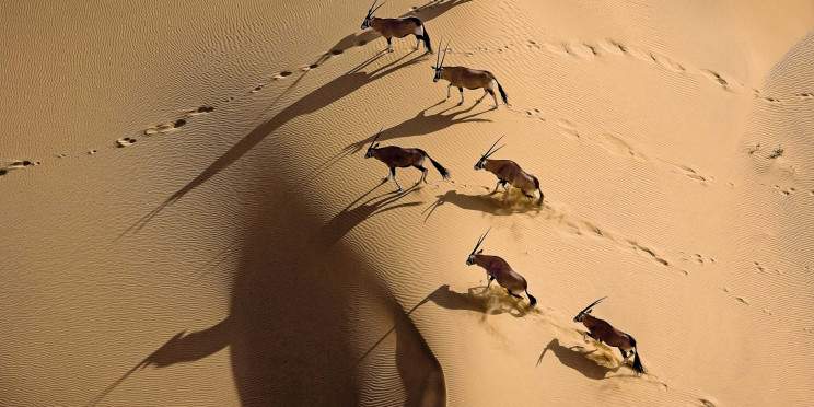 13-Day Highlights of Namibia Small Group Tour