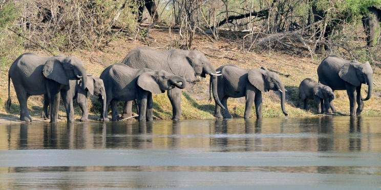 16-Day Namibia to Victoria Falls Explorer Safari