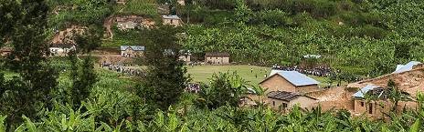5-Day Nyungwe Forest National Park Safari