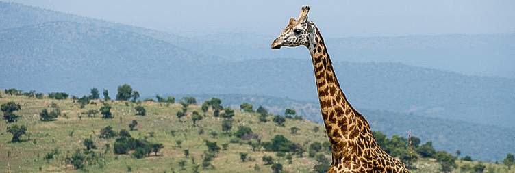 Visit the Genocide Memorial and then Transfer to Akagera National Park