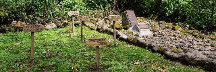 Transfer to Rwanda - Visiting Dian Fossey Museum