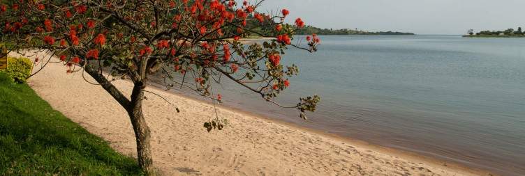 Cycling on the Congo Nile Trail ( next)