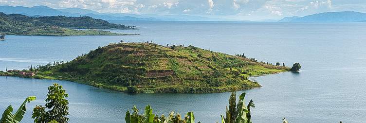 Golden monkey tracking and transfer to lake kivu