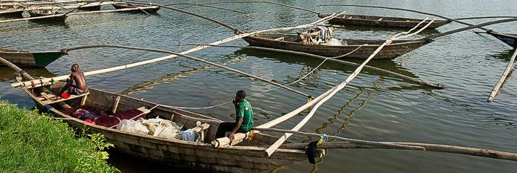 Golden Monkey Trekking in Volcanoes National park– Lake Kivu transfer for Sambaza fishing experience
