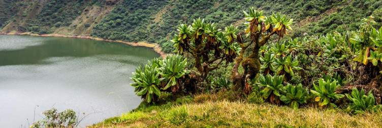 Bisoke hike and transfer to Kigali