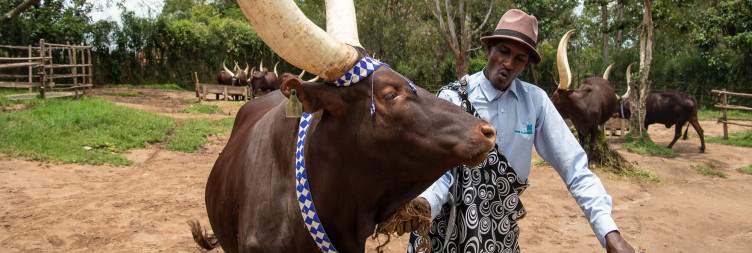 Rwanda Cultural day tour