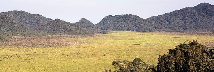 Drive to Nyungwe National Park