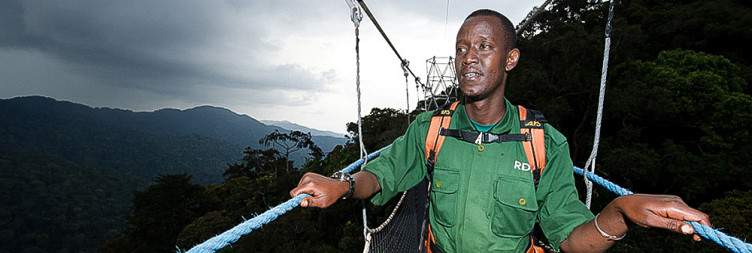 Chimpanzee Tracking & Canopy Walk at Uwinka Overlook Center in Nyngwe National Park