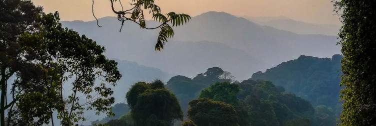 Nyamirambo Women's Centre and transfer to Nyungwe National Park with optional enroute tours
