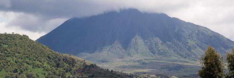 Transfer from Kigali to Volcanoes National Park
