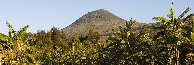 Kigali- Volcanoes national park (2h30drive)| City tour of Kigali