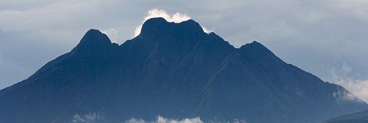 Kigali City Tour and Transfer from Kigali to Volcanoes National Park