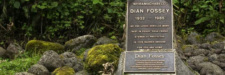 Transfer to Volcanoes National Park and Visit Dian Fossey Museum