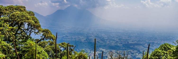 Transfer To Rwanda's Volcanoes National Park