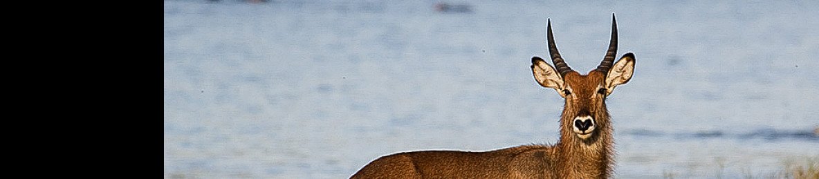 2-Day Adventure in Akagera National Park
