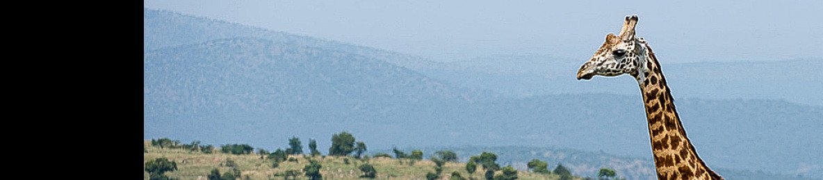 1-Day Akagera Excursion