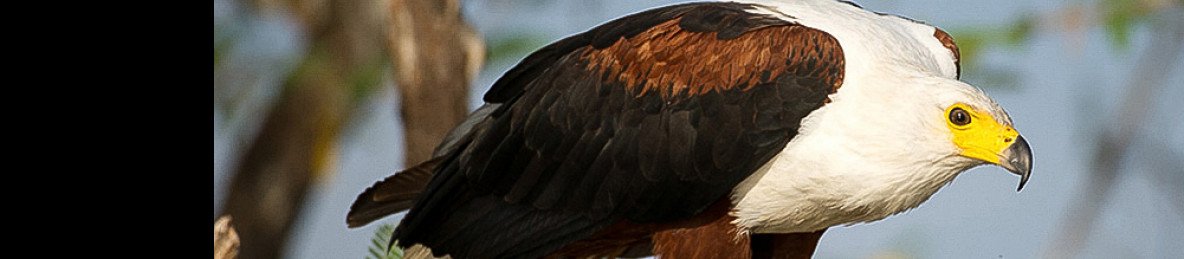 4-Day Akagera Big Five Wildlife Safari