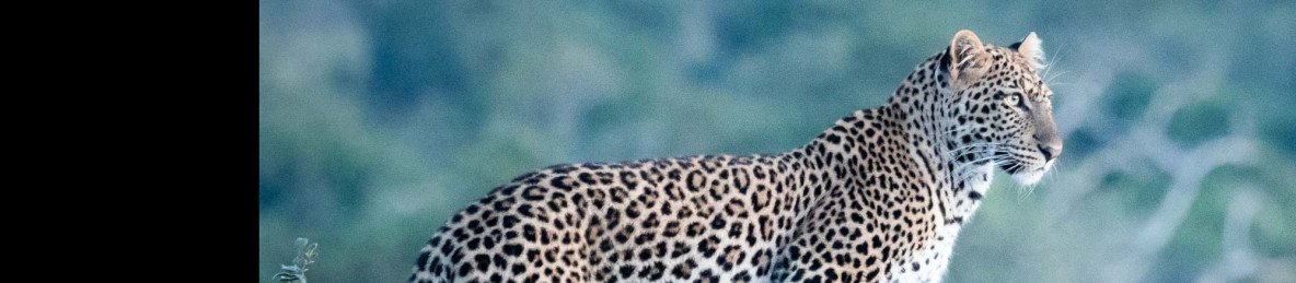 3-Day Game Drive on Akagera National Park