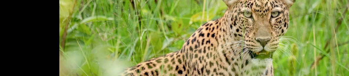 2-Day Akagera N P Wildlife and Boat Safari
