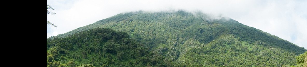 1-Day Mountain Bisoke Hike