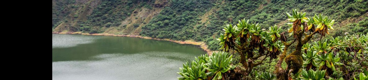 1-Day 1-Day Hiking Mount Bisoke to Crater Lake