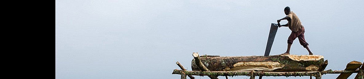 7-Day Affordable Rwanda Wildlife & Primate Adventure