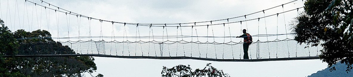 13-Day Uganda-Rwanda Primate & Safari Experience